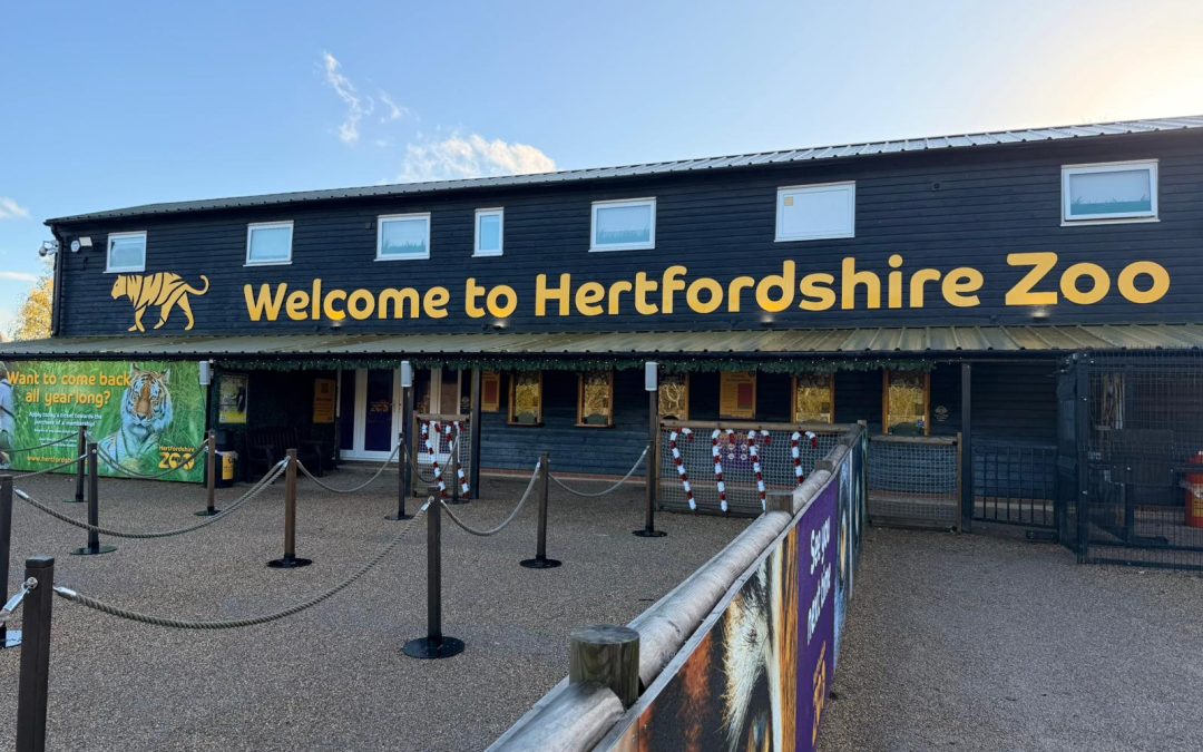 Update on Dinosaur-Themed Adventure Golf at Hertfordshire Zoo!